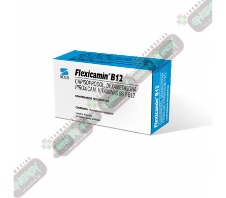 FLEXICAMIN B12 x 10 COMPRIMIDOS - 1353