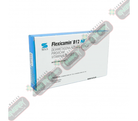 FLEXICAMIN B12 CAJA X 1 AMPOLLA -2405/0063