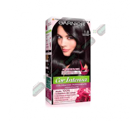 GARNIER COLOR INTENSO NEGRO  NRO 1.0  - 2533
