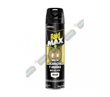 RAID MAX MATA CUCARACHA Y ARAÑAS X 360ML-5777
