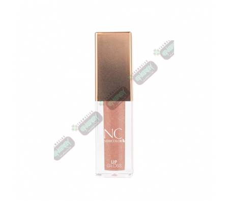 NEW COLOR LIP GLOSS NUDE N°27-3368