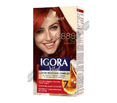 IGORA VITAL 6-888 RUBI APASIONADO EST 50ML-4918
